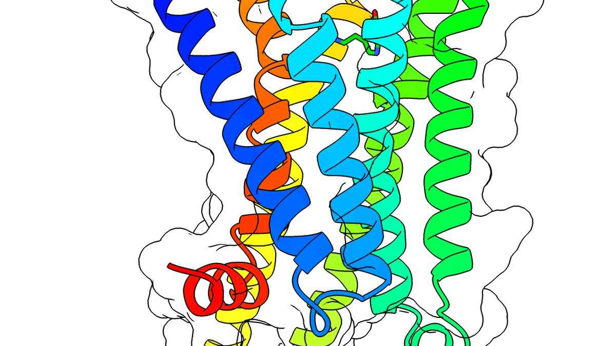 Class-B GPCR ribbon model — the receptor family engaged by TRIAGON, a Panacea Bio Chem triple receptor incretin agonist research direction by Bogdan Dicoias